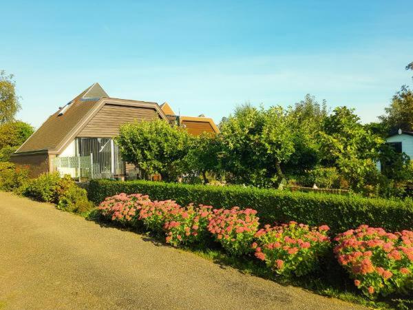 Lovely Bungalow till 6 persons near Amsterdam and the Sea room 4